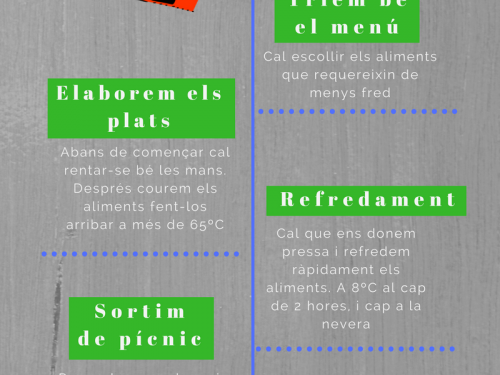 Infogràfic amb petits consells per anar de pícnic